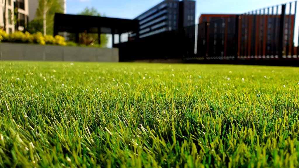 Artificial grass in backyard