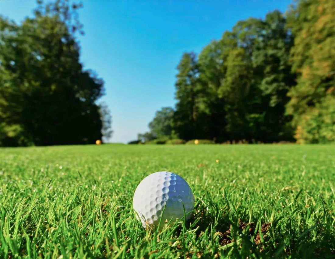 Golf ball on grass