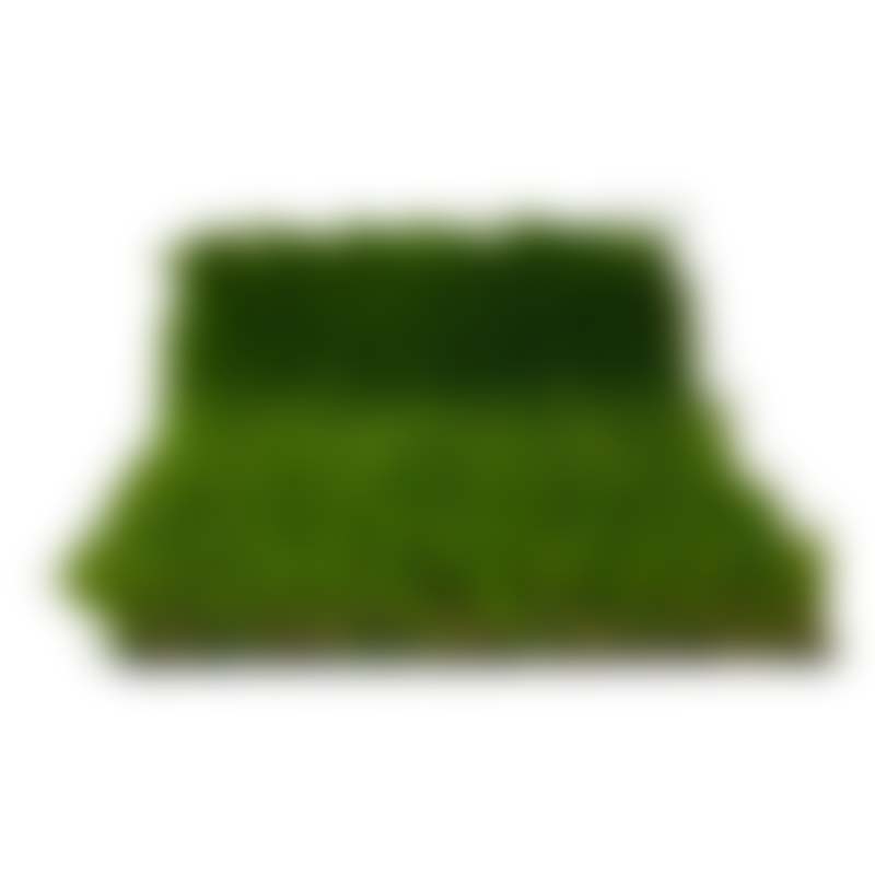 Artificial Turf Product: Augustine EX