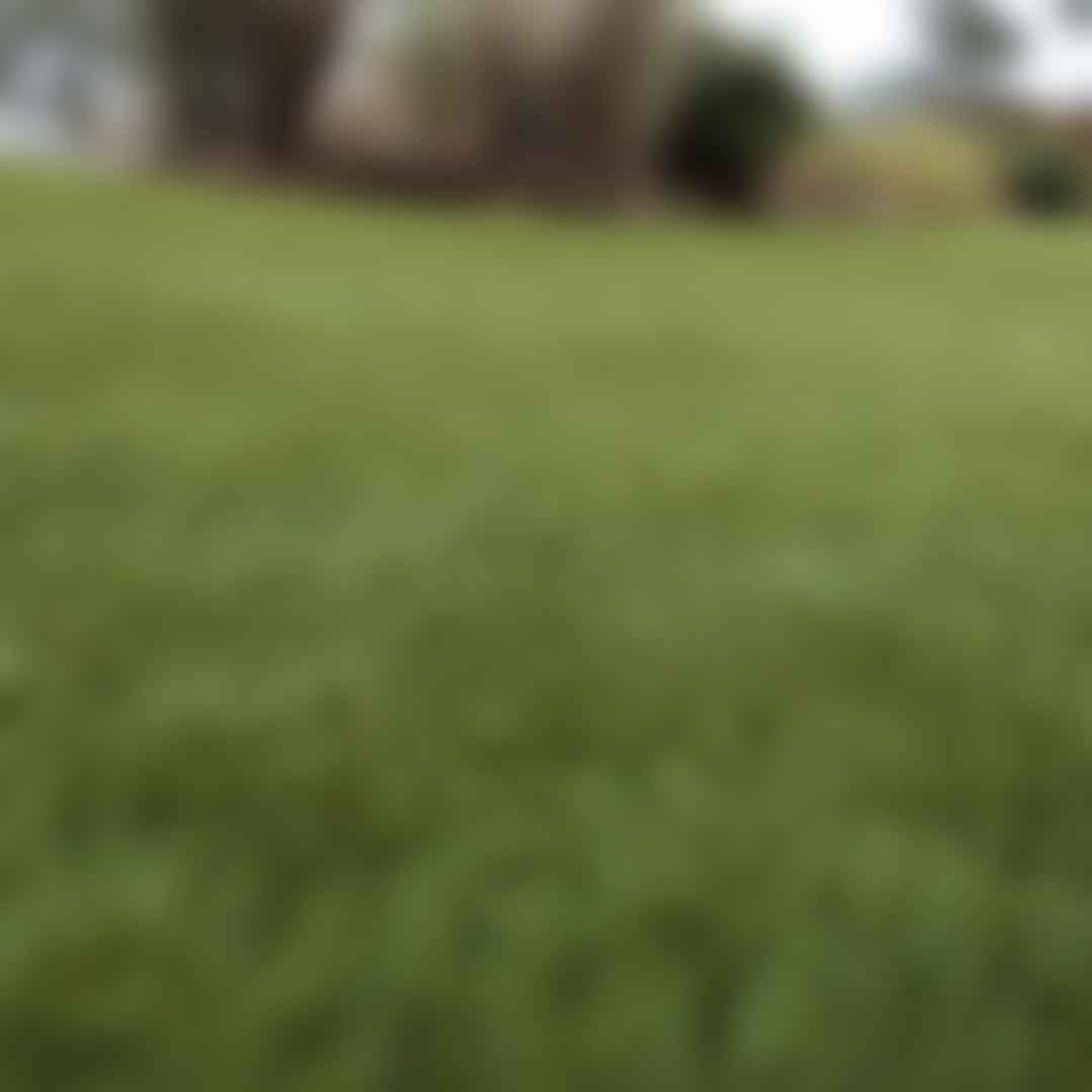 Beyond Artificial Grass: 5 Uses for Turf That Might Surprise You