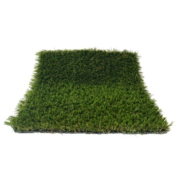 Artificial Turf Product: Augustine
