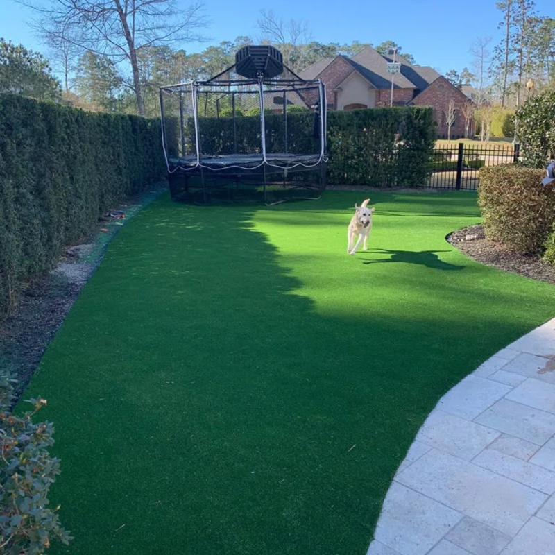 A dog running in a playground made of artificial turf