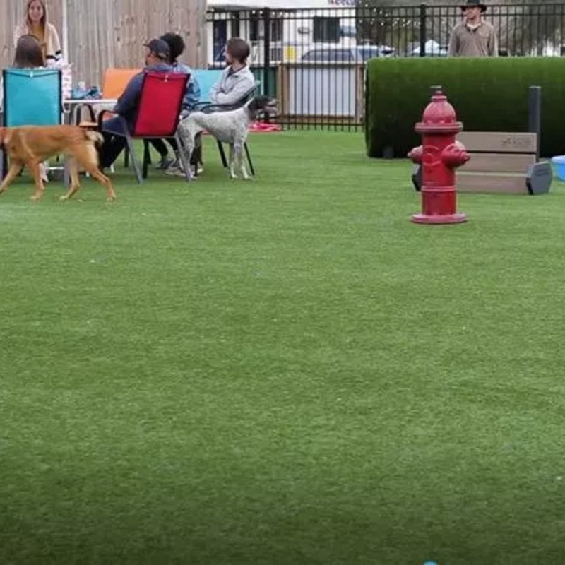 HopHounds Brew Pub & Dog Park - Artificial Grass