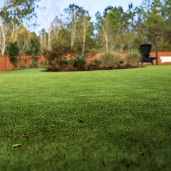 Real Looking Artificial Grass: The Ultimate Guide to Lush, Low-Maintenance Landscaping
