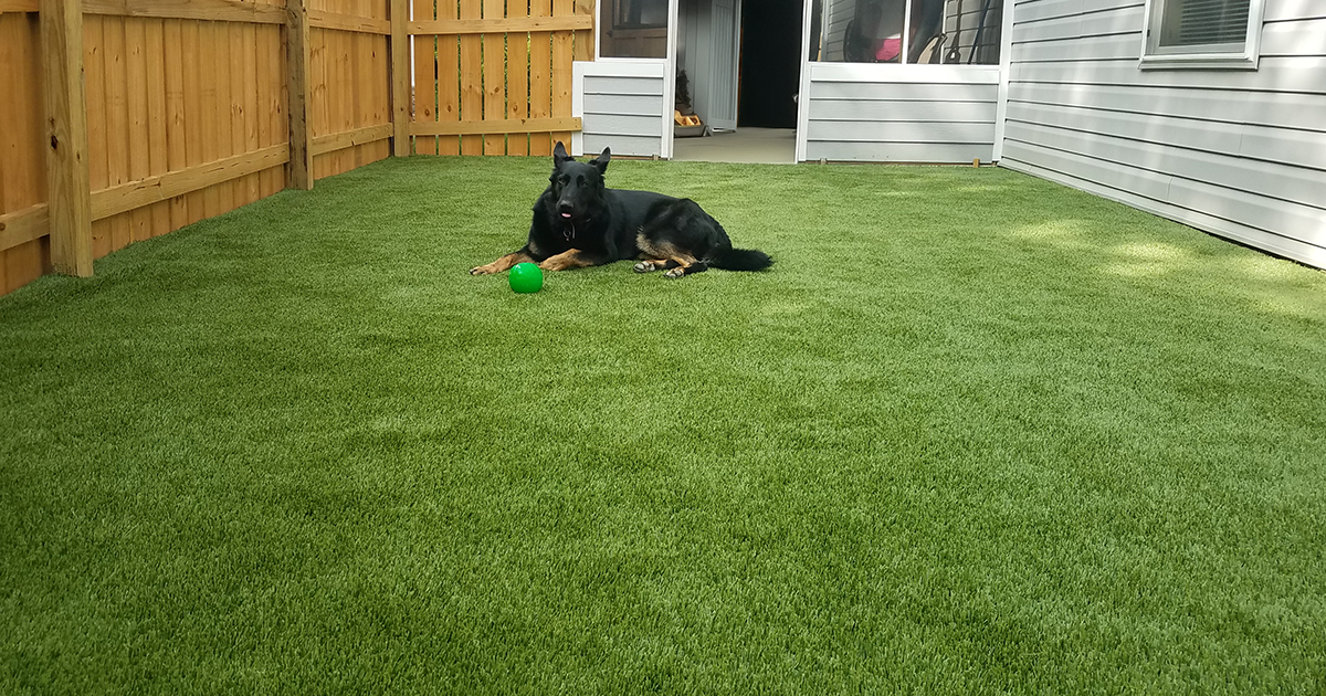 Say Goodbye to Muddy Paws: The Ultimate Guide to Pet Turf Installation