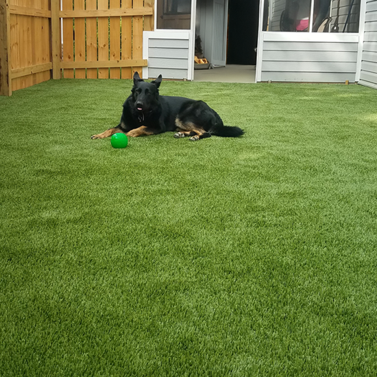 Say Goodbye to Muddy Paws: The Ultimate Guide to Pet Turf Installation