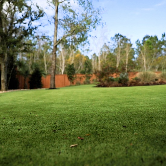 Residential & Commercial Artificial Landscape Grass Installation
