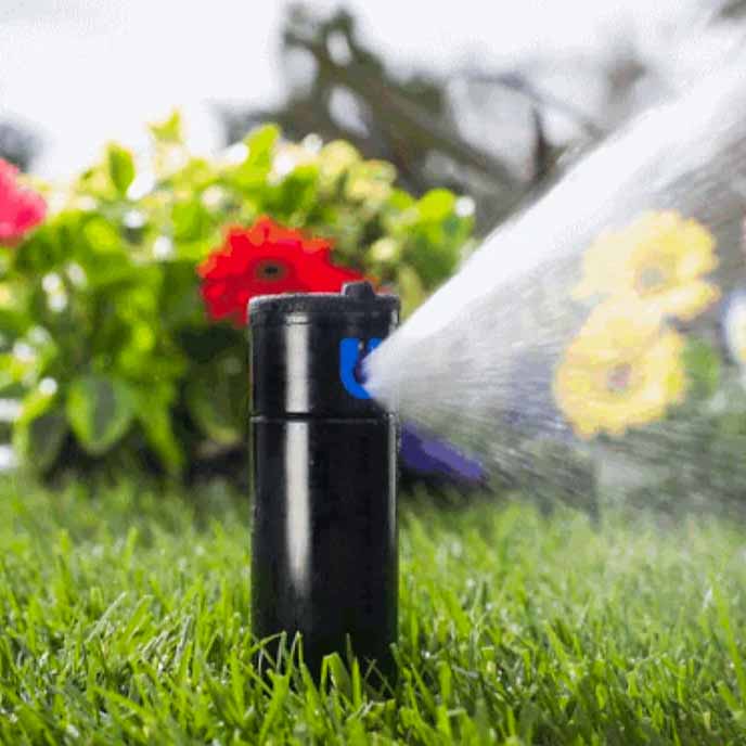 Irrigation Designs, Installation & Maintenance