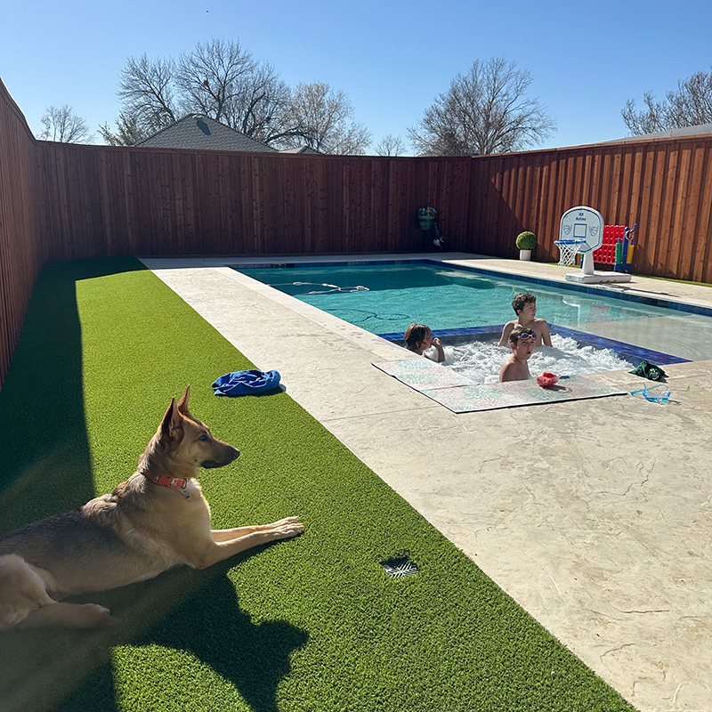 Stephanie M. ~ Carrollton, Texas